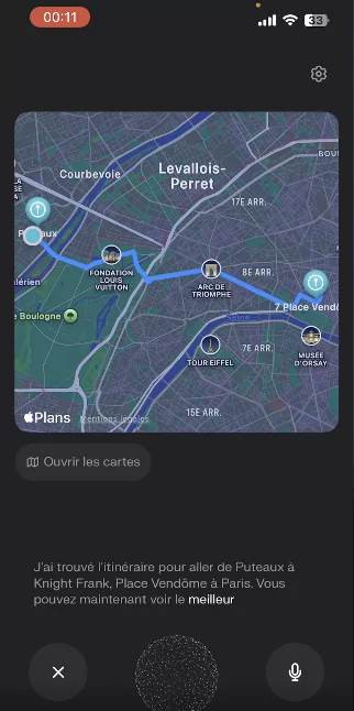 Assistant vocal multimodal Perplexity