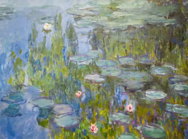 tableau des nymphéas de Monet.